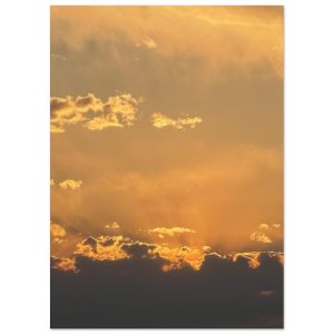 74dc0b06-0866-49ef-b7f6-31aec1f3dd89