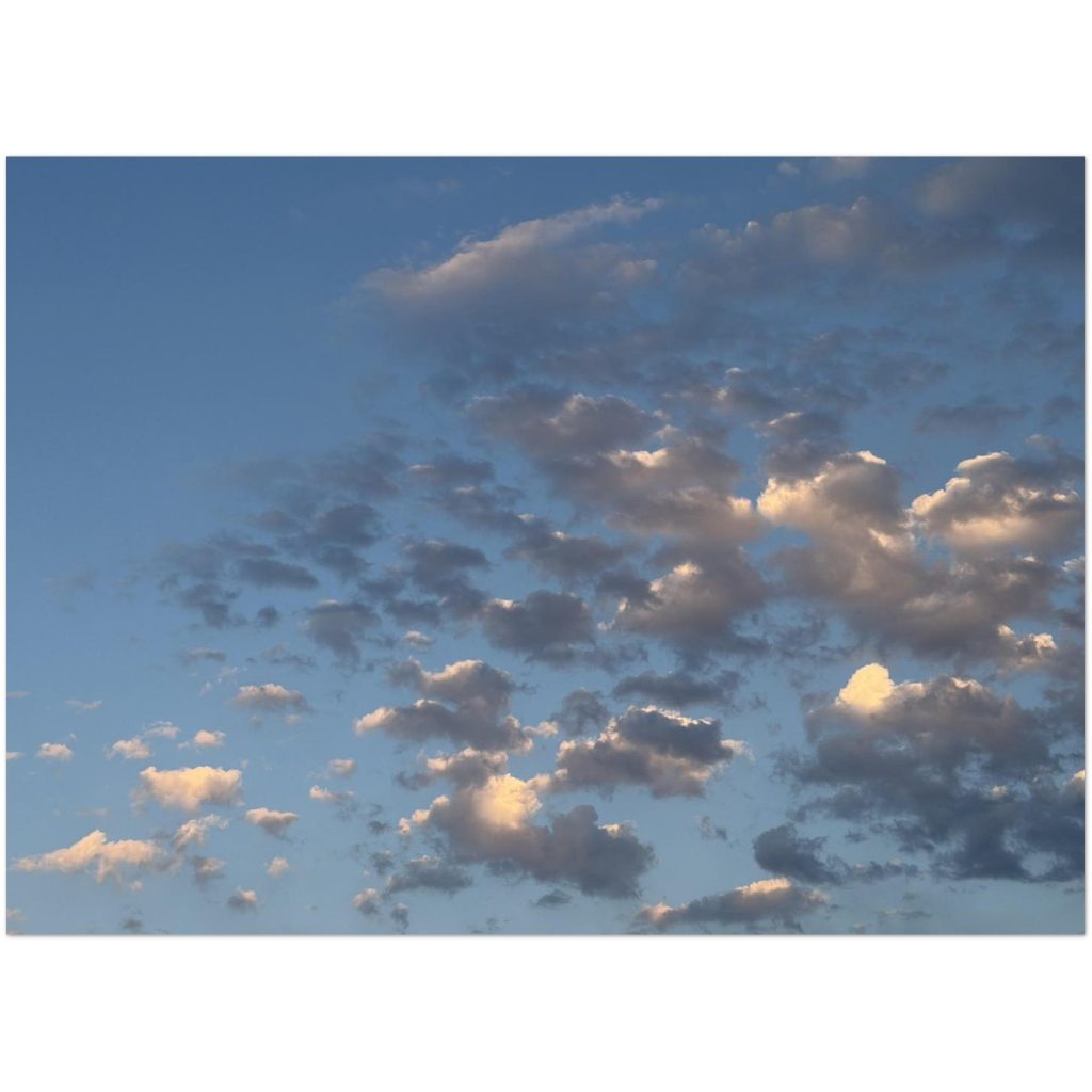 8d3dedd3-94b5-400b-9ad4-7a14c0604b50