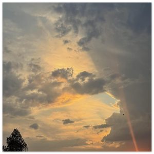 49e7ad57-4aca-46c9-ae15-aaf96c09f41e
