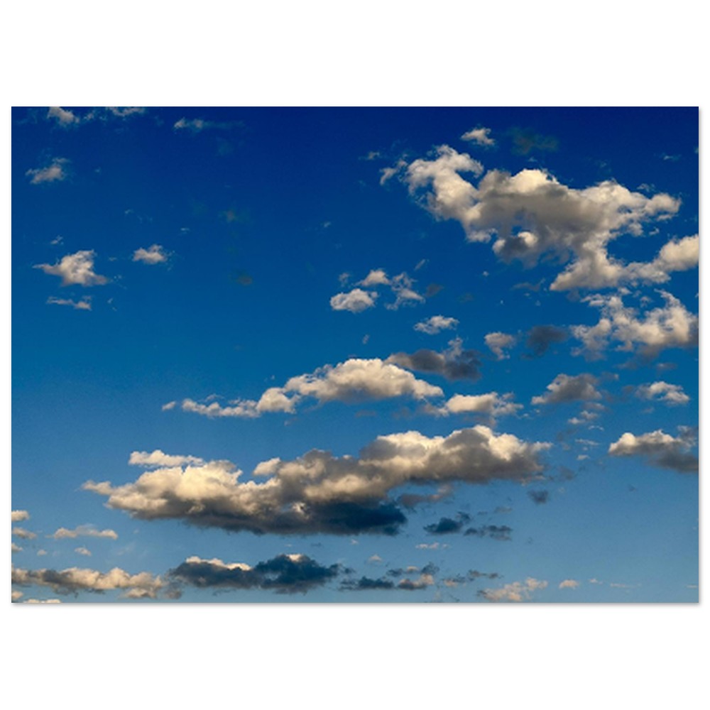 89f84ceb-3968-4fdc-803f-d37e7c688fed