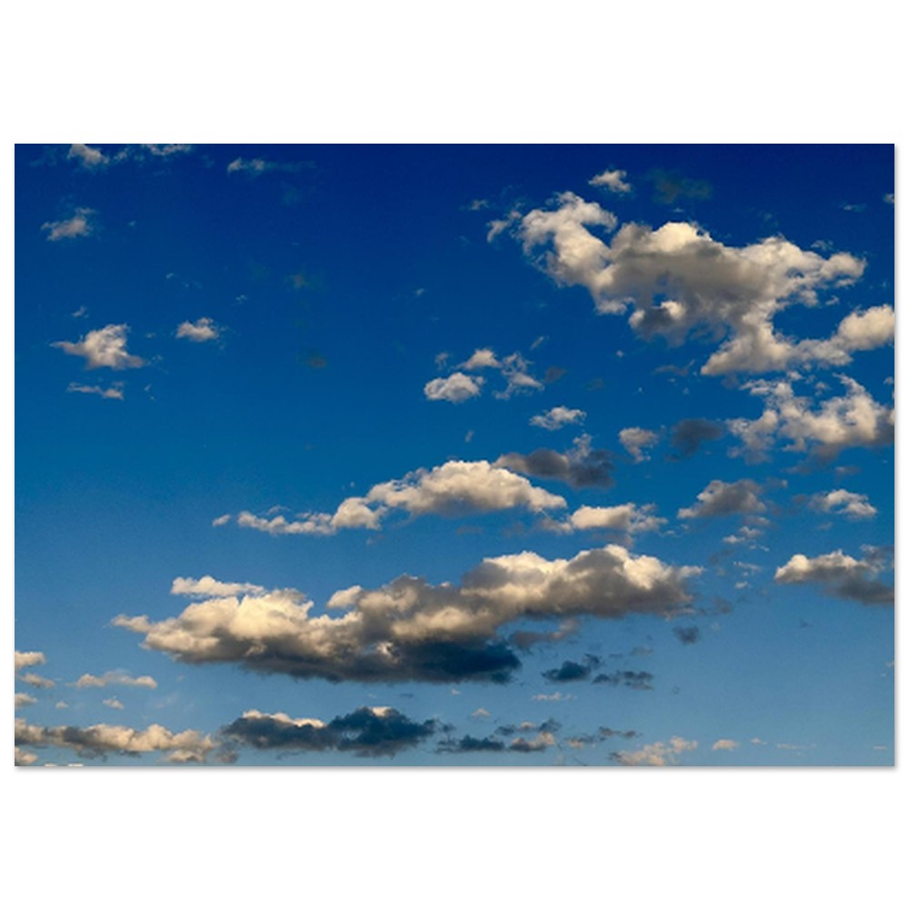 e18433e7-ba37-4219-8c54-463f3428145e